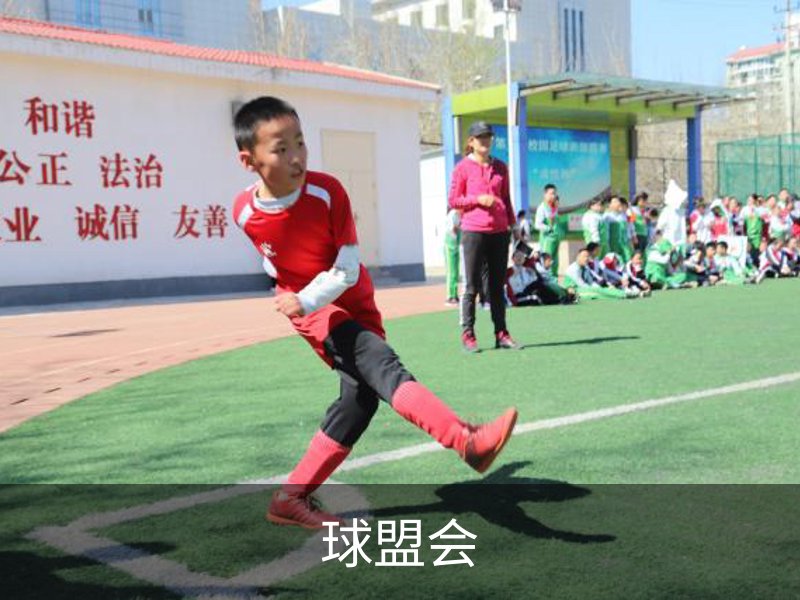 球盟会简介